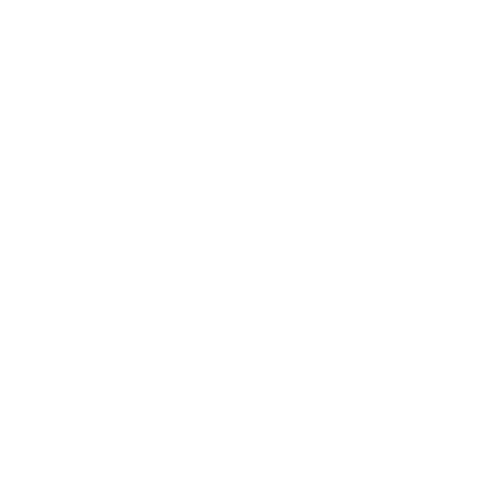 Anton van Es